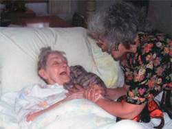 Marge Schneider helping a client with a kitten puppet